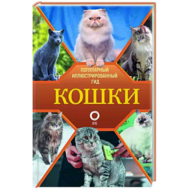 Кошки Кошки