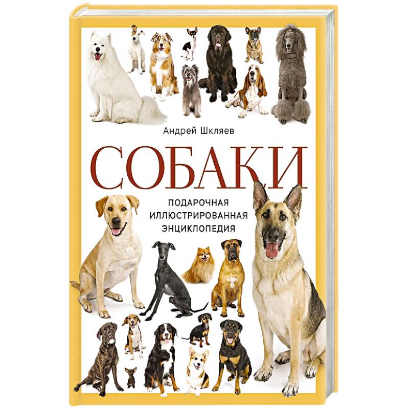 Собаки. Подарочная иллюстрированная энциклопедия (новое оформление) Собаки. Подарочная иллюстрированная энциклопедия (новое оформление)