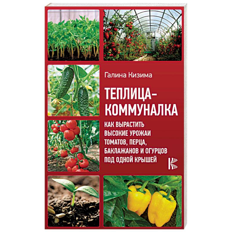 Теплица-коммуналка. Как вырастить высокие урожаи томатов, перца, баклажанов и огурцов под одной крыш Теплица-коммуналка. Как вырастить высокие урожаи томатов, перца, баклажанов и огурцов под одной крыш