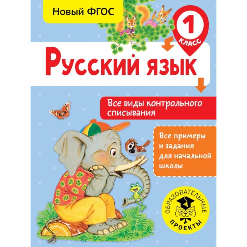 Русский язык. Все виды контрольного списывания. 1 класс Русский язык. Все виды контрольного списывания. 1 класс
