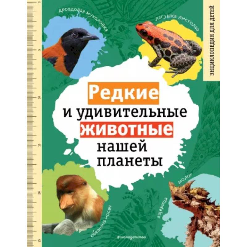 Редкие и удивительные животные нашей планеты