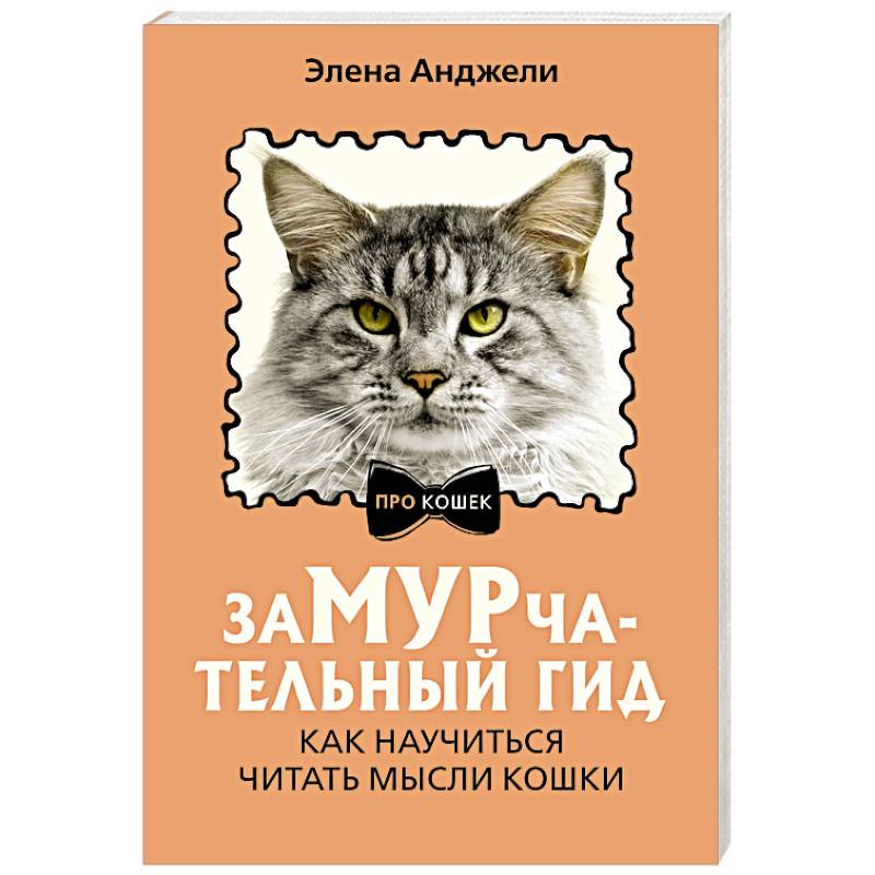 ЗаМУРчательный гид. Как научиться читать мысли кошки ЗаМУРчательный гид. Как научиться читать мысли кошки