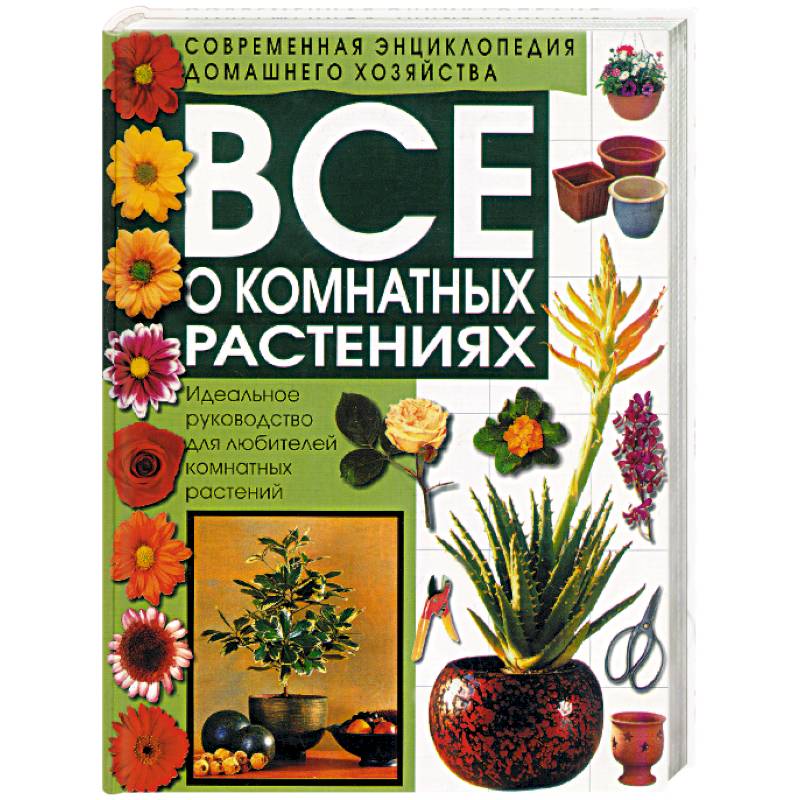 Все о комнатных растениях Все о комнатных растениях