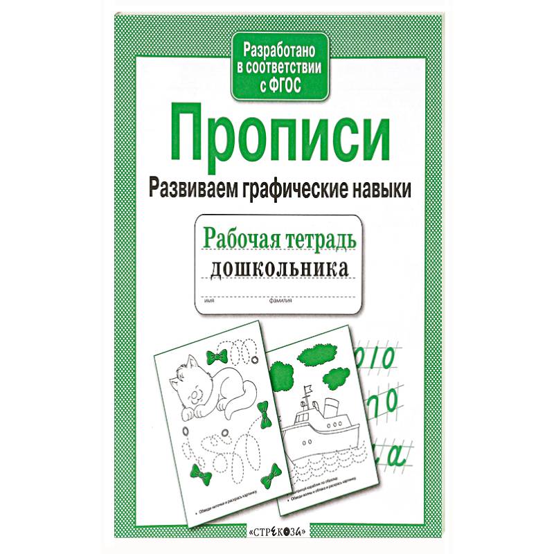 Прописи. Развиваем графические навыки. Рабочая тетрадь Прописи. Развиваем графические навыки. Рабочая тетрадь