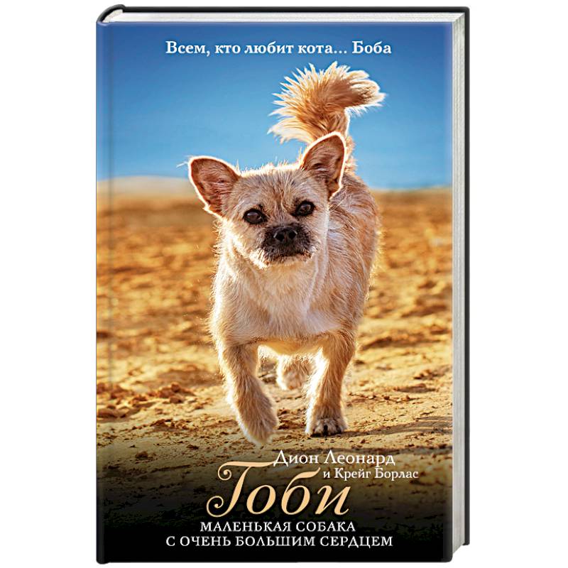 Гоби: маленькая собака с очень большим сердцем