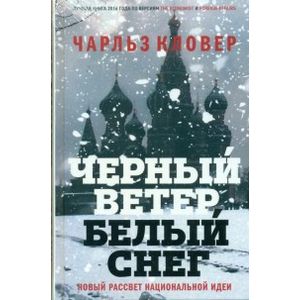 Черный ветер, белый снег. Новый рассвет национальной идеи