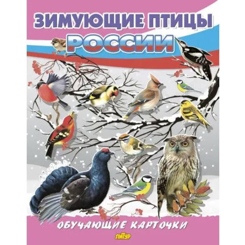 Зимующие птицы России