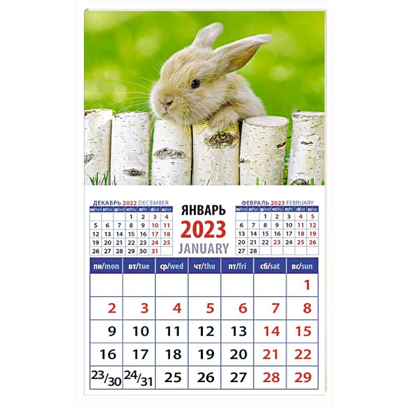 Календарь Год кролика. Обаятельный малыш на 2023 год