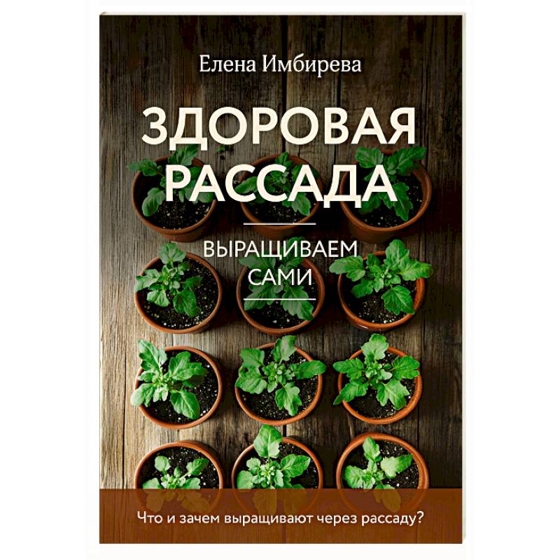 Здоровая рассада. Выращиваем сами (новое оформление) Здоровая рассада. Выращиваем сами (новое оформление)