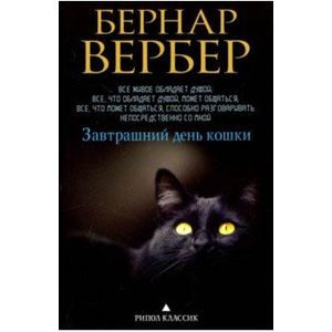 Завтрашний день кошки Завтрашний день кошки