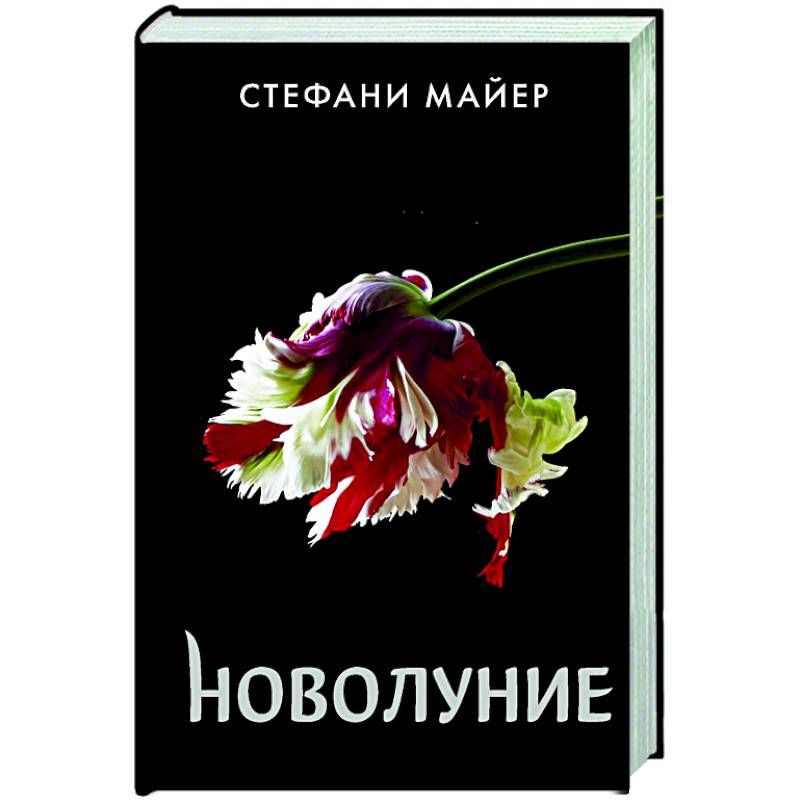 Новолуние Новолуние