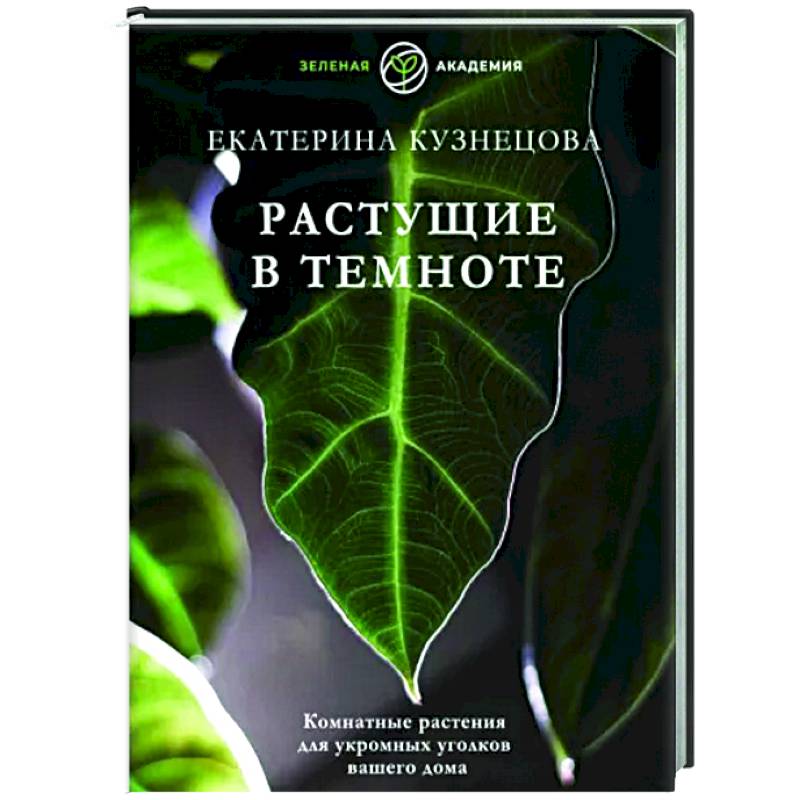 Растущие в темноте. Комнатные растения для укромных уголков вашего дома Растущие в темноте. Комнатные растения для укромных уголков вашего дома