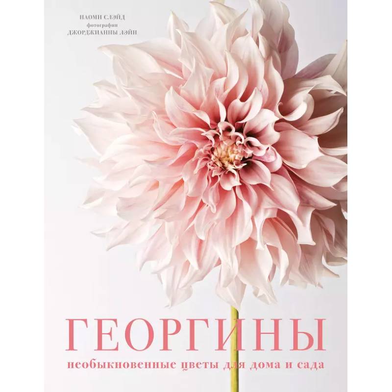 Георгины. Необыкновенные цветы для дома и сада Георгины. Необыкновенные цветы для дома и сада