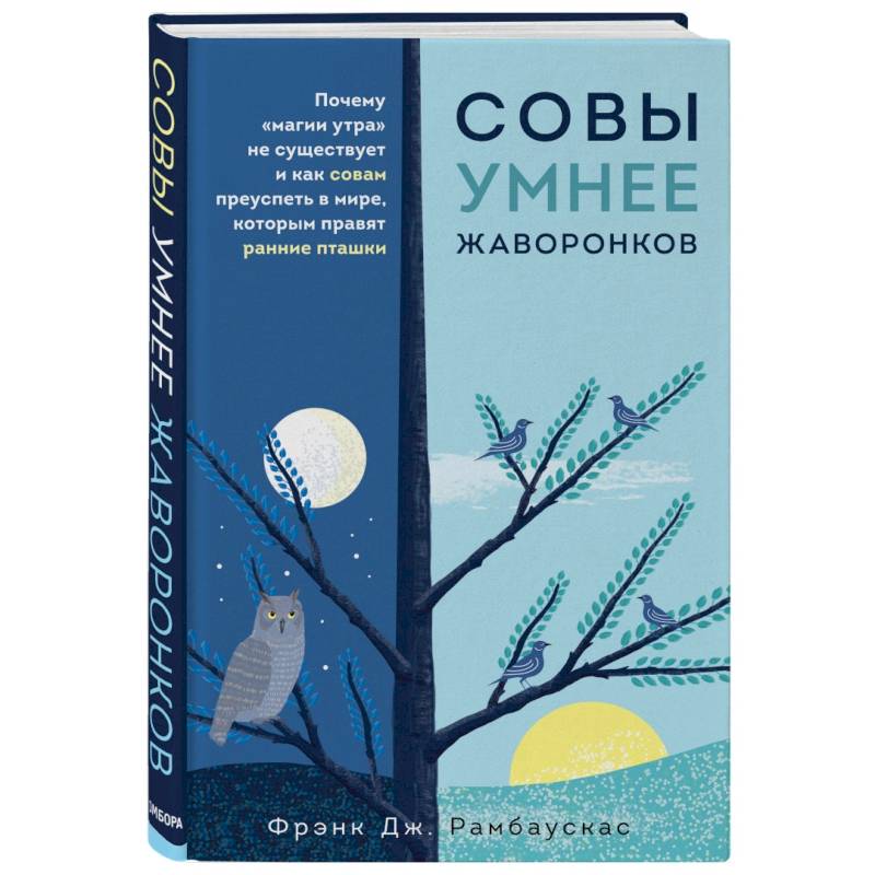 Совы умнее жаворонков. Почему 'магии утра' не существует и как совам преуспеть в мире...