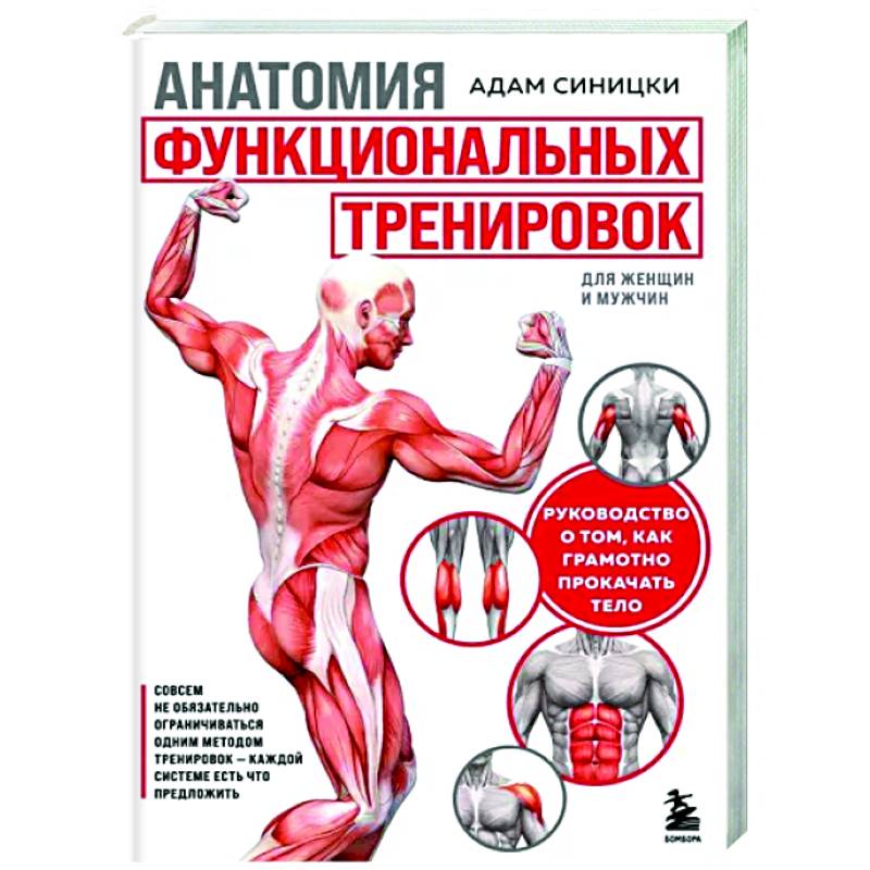 Анатомия функциональных тренировок. Руководство о том, как грамотно прокачать тело Анатомия функциональных тренировок. Руководство о том, как грамотно прокачать тело