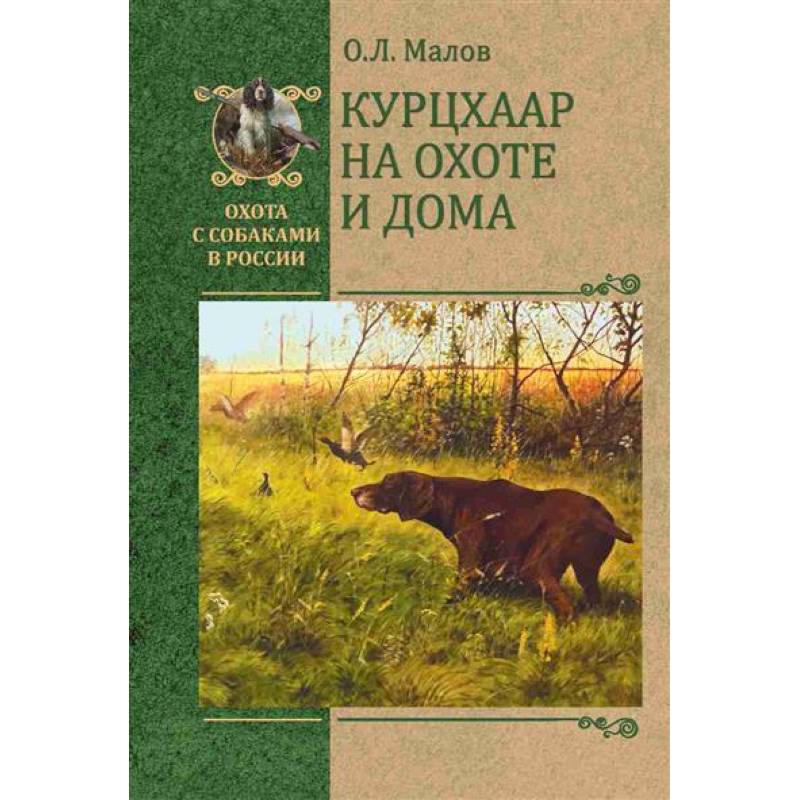 Курцхаар на охоте и дома Курцхаар на охоте и дома