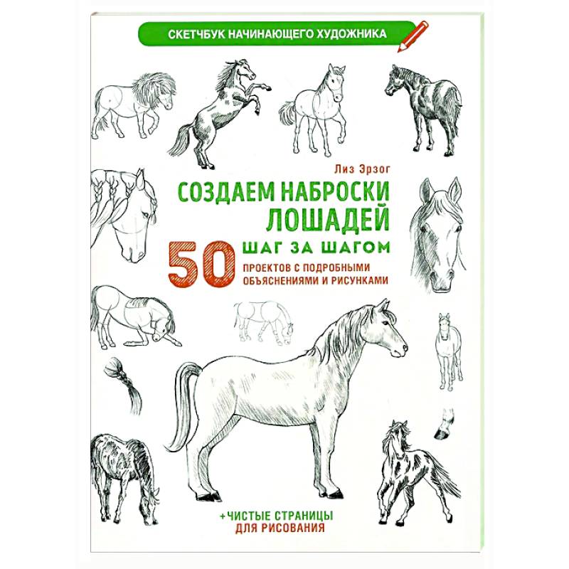 Создаем наброски лошадей шаг за шагом. 50 проектов с подробными объяснениями и рисунками Создаем наброски лошадей шаг за шагом. 50 проектов с подробными объяснениями и рисунками
