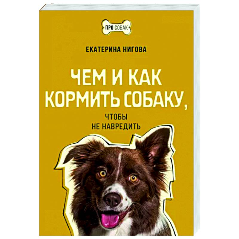 Чем и как кормить собаку, чтобы не навредить Чем и как кормить собаку, чтобы не навредить