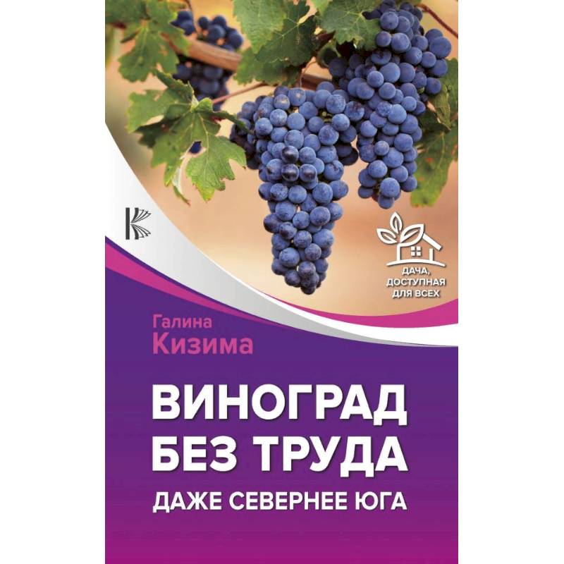 Виноград без труда. Даже севернее юга Виноград без труда. Даже севернее юга