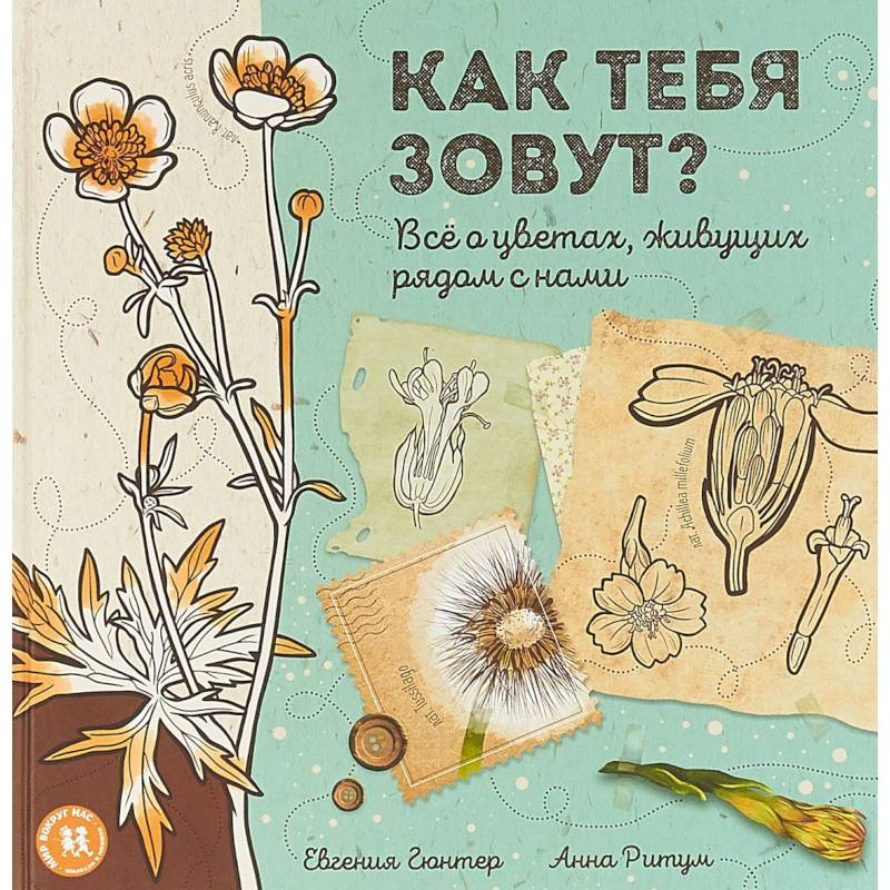 Как тебя зовут? Всё о цветах, живущих рядом с нами