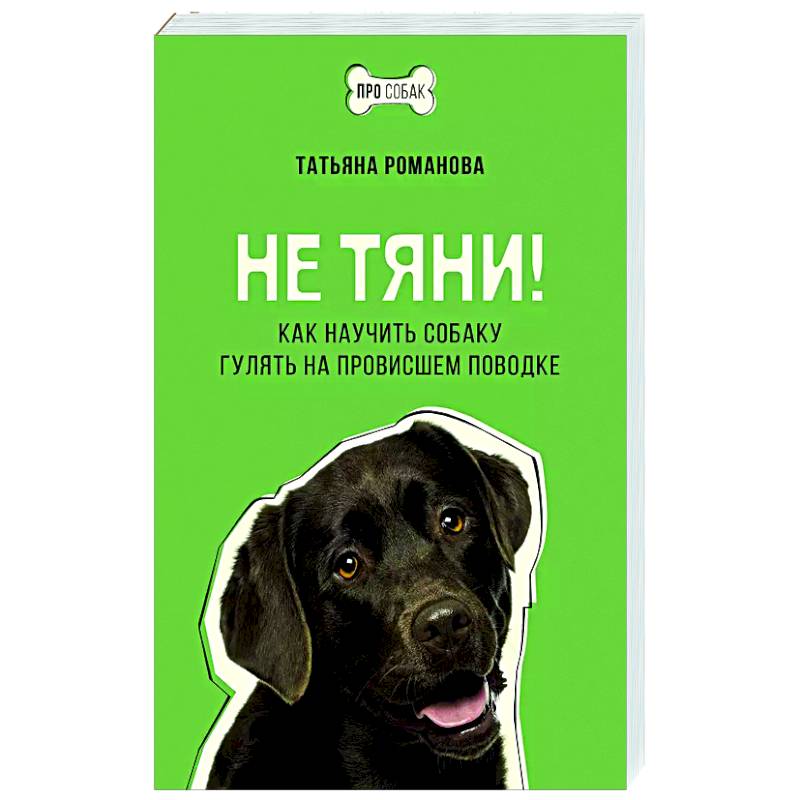 Не тяни! Как научить собаку гулять на провисшем поводке Не тяни! Как научить собаку гулять на провисшем поводке