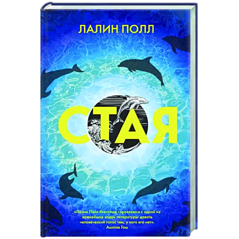Стая Стая