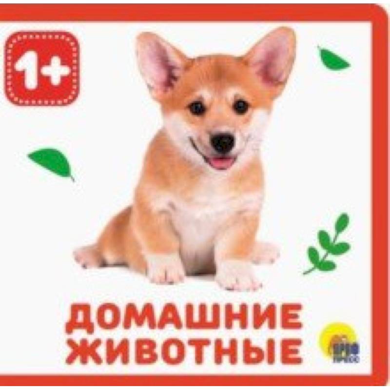 Домашние животные