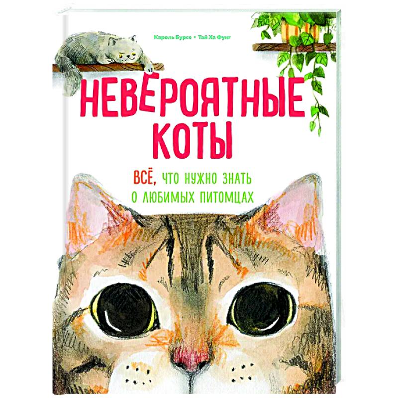 Невероятные коты. Все, что нужно знать о любимых питомцах