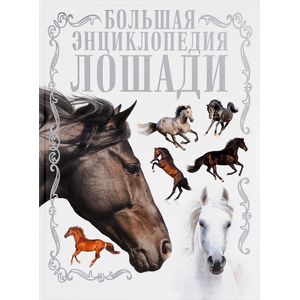 Лошади. Большая энциклопедия Лошади. Большая энциклопедия