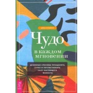 Чудо в каждом мгновении. Духовные способы преодолеть страх и почувствовать силу настоящего момента Чудо в каждом мгновении. Духовные способы преодолеть страх и почувствовать силу настоящего момента