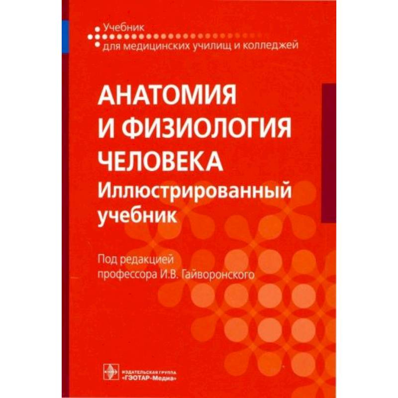 Анатомия и физиология человека. Учебник для СПО Анатомия и физиология человека. Учебник для СПО