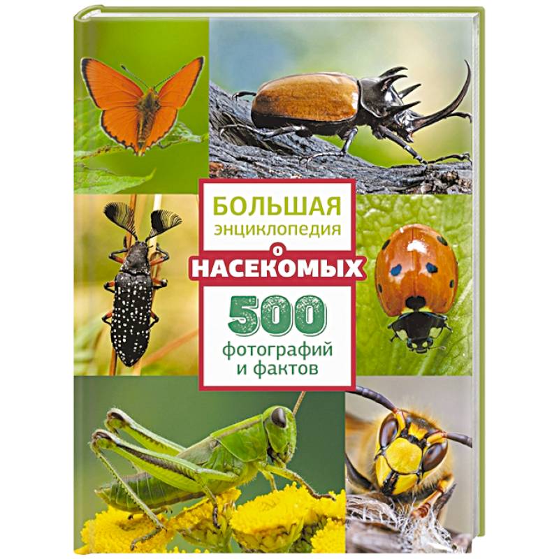 Большая энциклопедия о насекомых. 500 фотографий и фактов