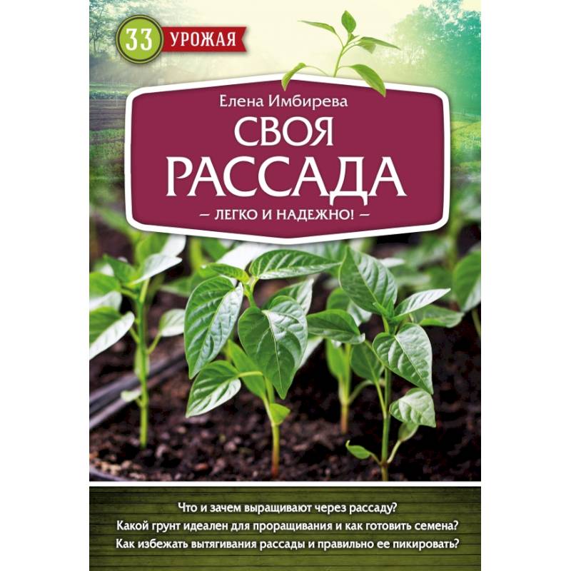 Своя рассада. Легко и надежно Своя рассада. Легко и надежно