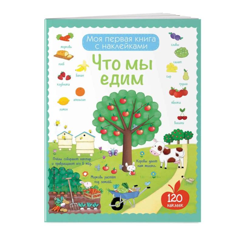 Что мы едим