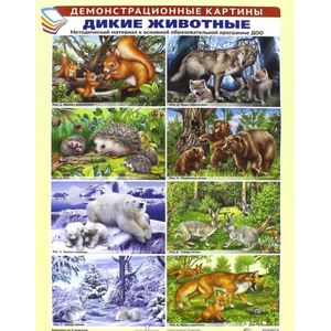 Демонстрационные картины: Дикие животные Демонстрационные картины: Дикие животные