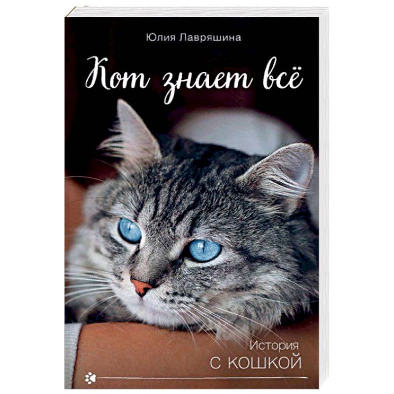 Кот знает всё