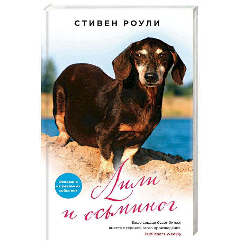 Лили и осьминог Лили и осьминог