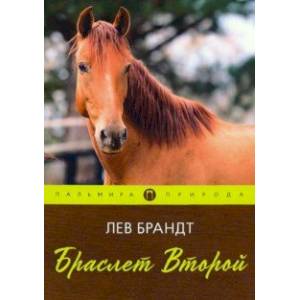 Браслет Второй Браслет Второй