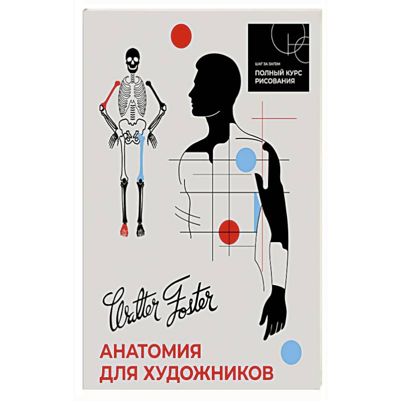 Анатомия для художников Анатомия для художников
