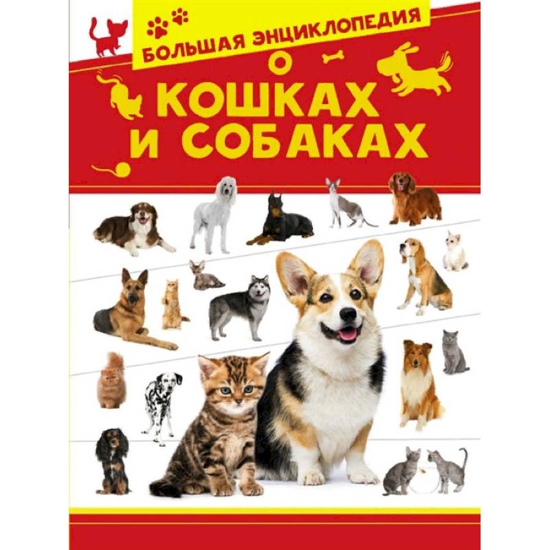 Большая энциклопедия о кошках и собаках