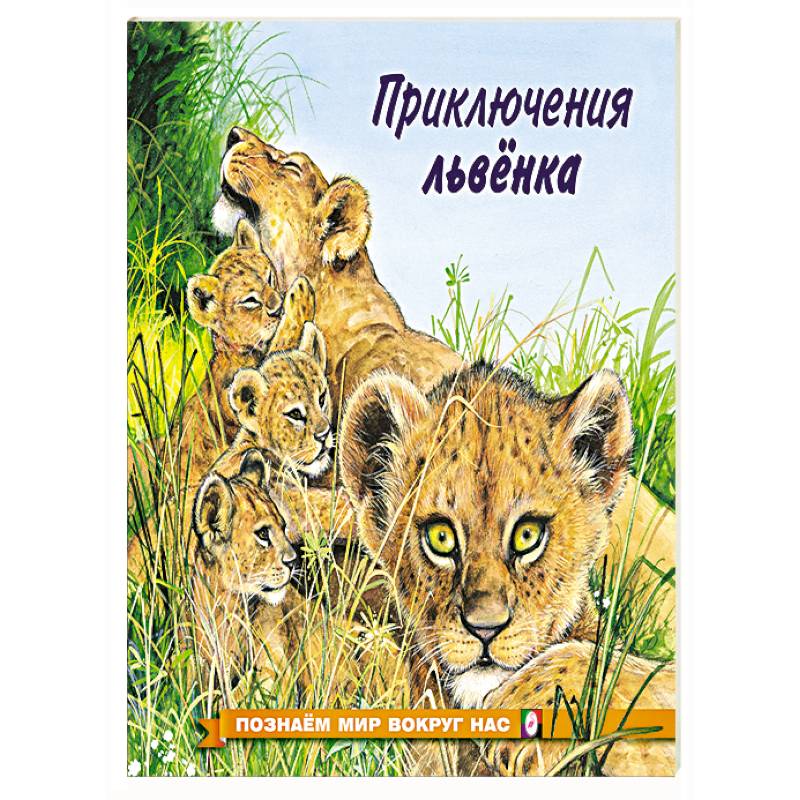 Приключения львенка