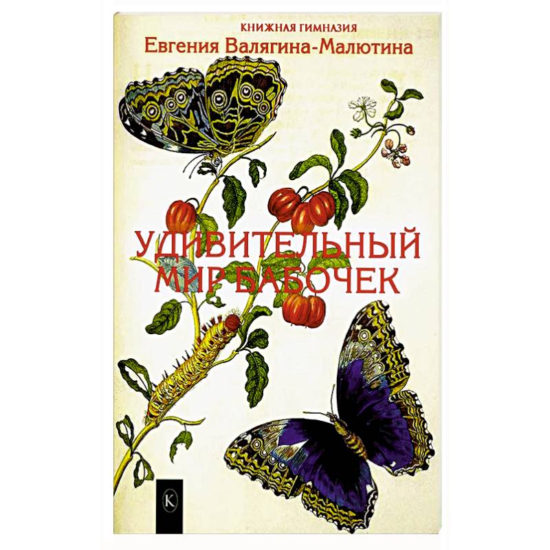 Удивительный мир бабочек Удивительный мир бабочек