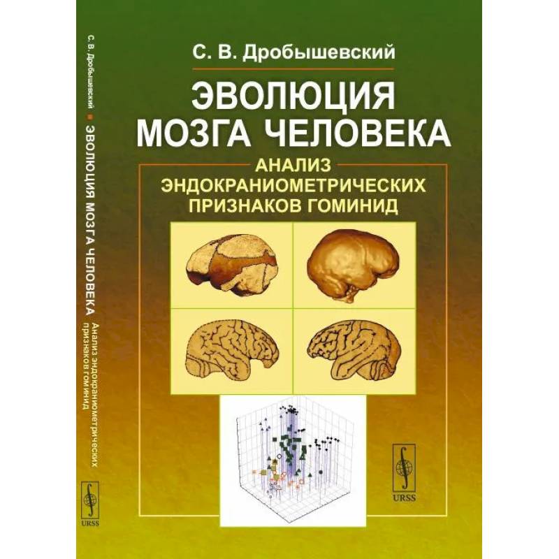 Эволюция мозга человека. Анализ эндокраниометрических признаков гоминид Эволюция мозга человека. Анализ эндокраниометрических признаков гоминид
