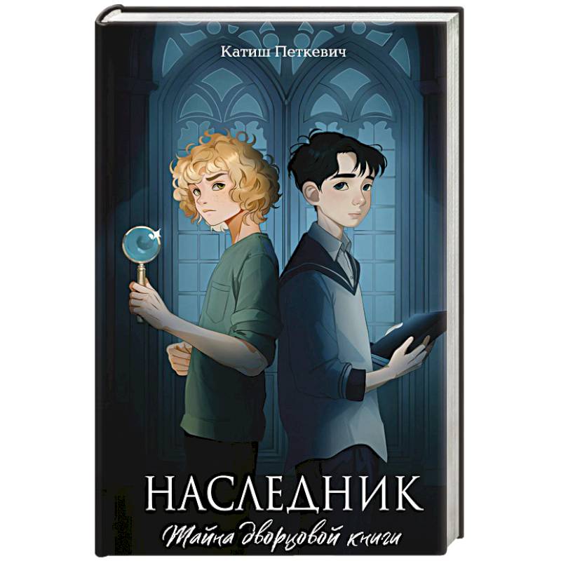 Наследник. Тайна дворцовой книги Наследник. Тайна дворцовой книги