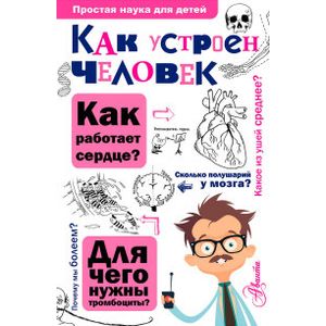 Как устроен человек
