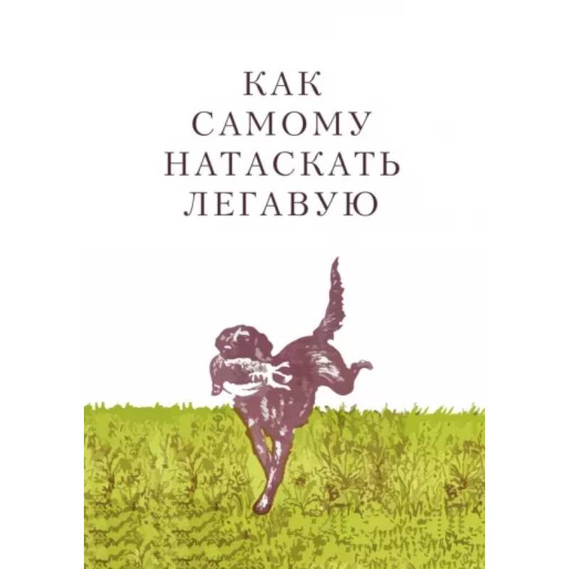 Как самому натаскать легавую Как самому натаскать легавую