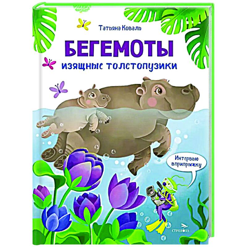 Интервью вприпрыжку. Бегемоты. Изящные толстопузики Интервью вприпрыжку. Бегемоты. Изящные толстопузики