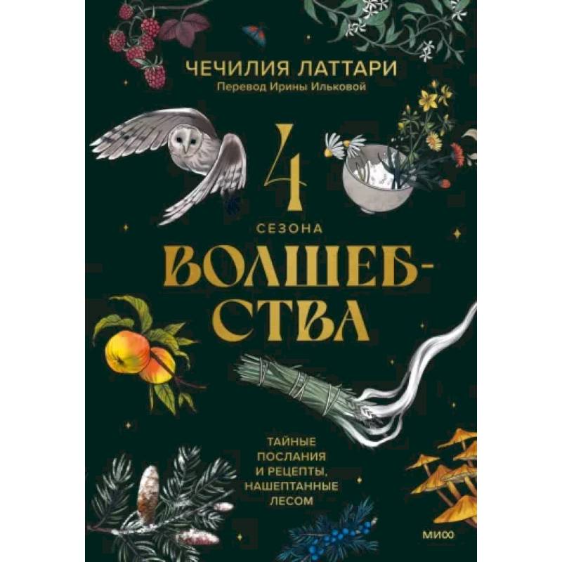 4 сезона волшебства. Тайные послания и рецепты, нашептанные лесом 4 сезона волшебства. Тайные послания и рецепты, нашептанные лесом