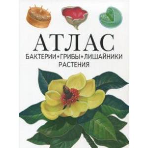Атлас. Бактерии, грибы, лишайники, растения