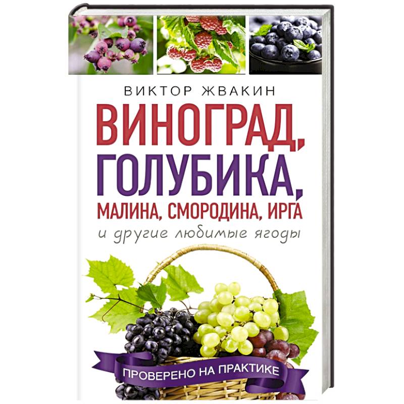 Виноград, голубика, малина, смородина, ирга и другие любимые ягоды Виноград, голубика, малина, смородина, ирга и другие любимые ягоды